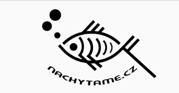 Nachytame